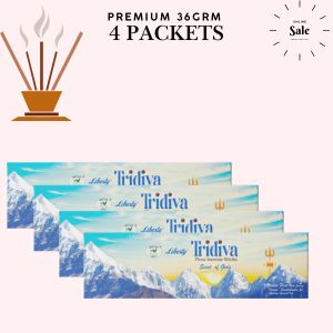 Tridiva Masala Aggarbatti Liberty Brand 36gm Pack of 4