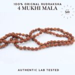 4 Mukhi Rudraksha Mala: Must-Have for Effortless Wisdom