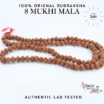 8 Mukhi Rudraksha Mala: Must-Have for Spiritual Growth