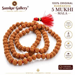 5 Mukhi Rudraksha Mala: Must-Have for Effortless Peace