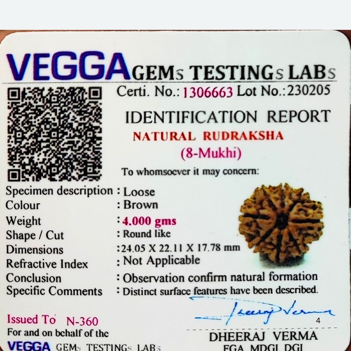 8 Mukhi Rudraksha Nepali Lab Certified - Image 4