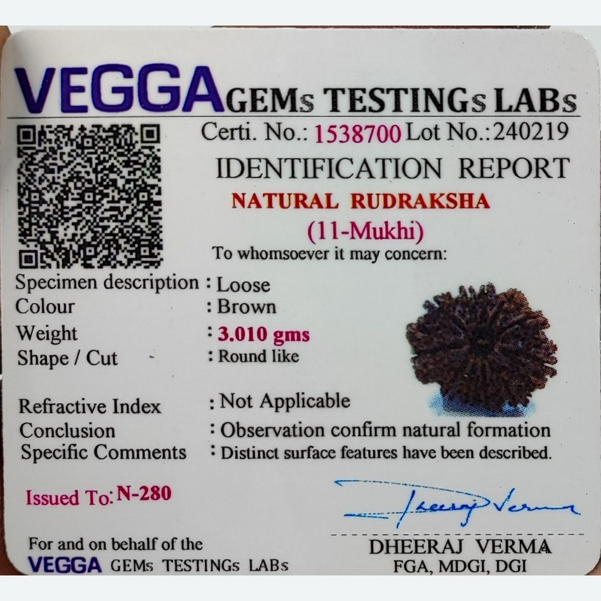 11 Mukhi Rudraksha Nepali Lab Tested Orignal 22MM - Image 4