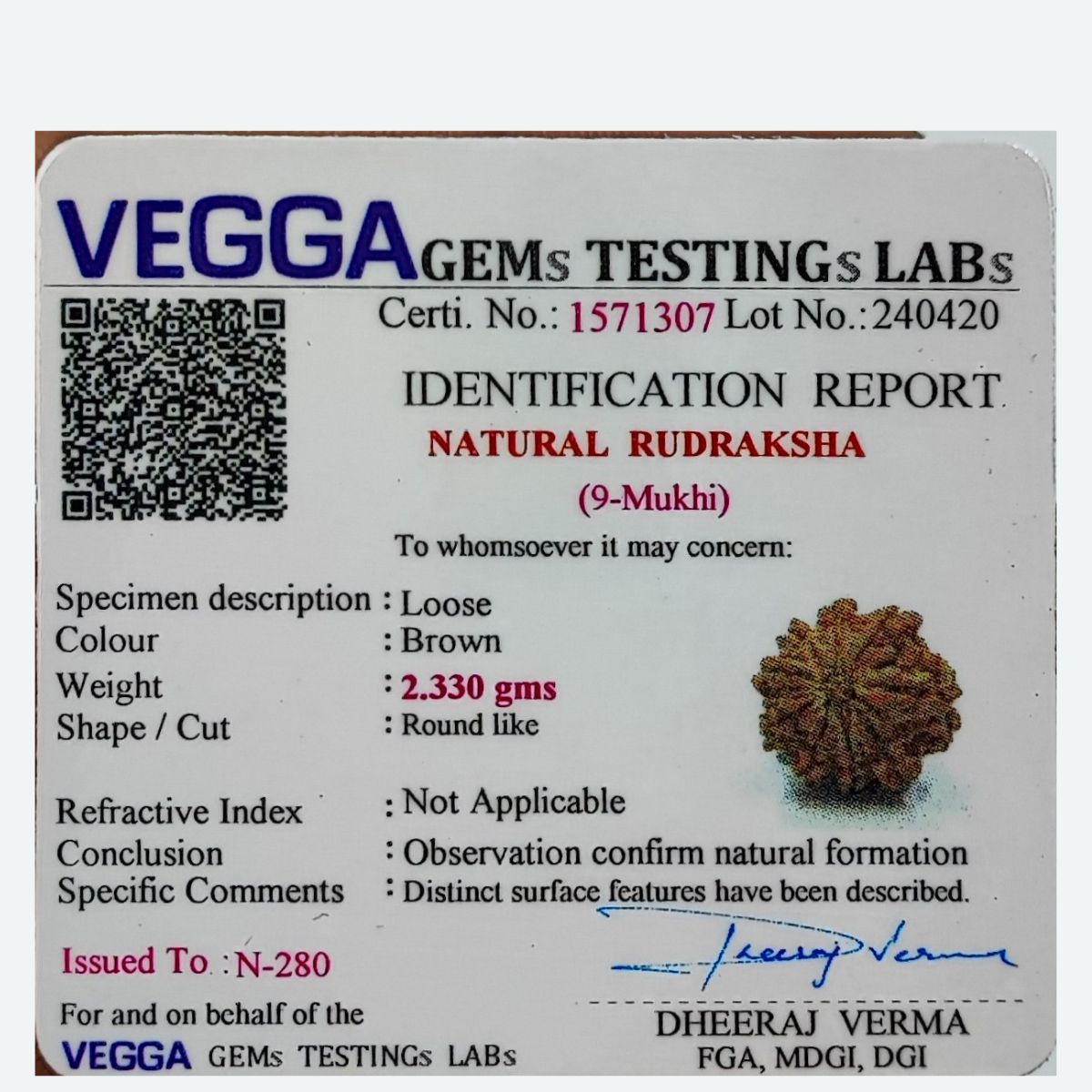 9 Mukhi Rudraksha Nepali Lab Tested Orignal 22MM - Image 4