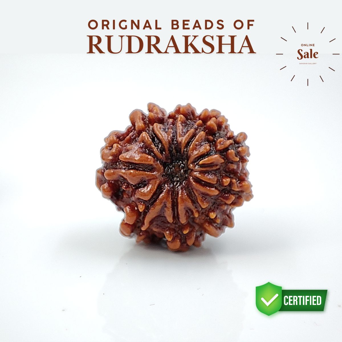 9 Mukhi Rudraksha Nepali Lab Tested Orignal 22MM