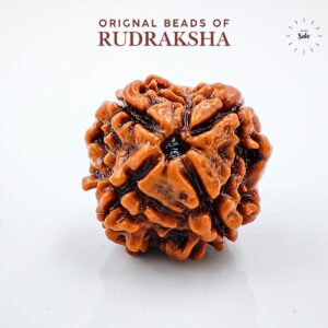 4 Mukhi Rudraksha Nepali Orignal Lab Tested