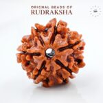 6 Mukhi Rudraksha Nepali Orignal Lab Tested