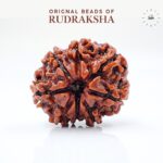 8 Mukhi Rudraksha Nepali Lab Certified
