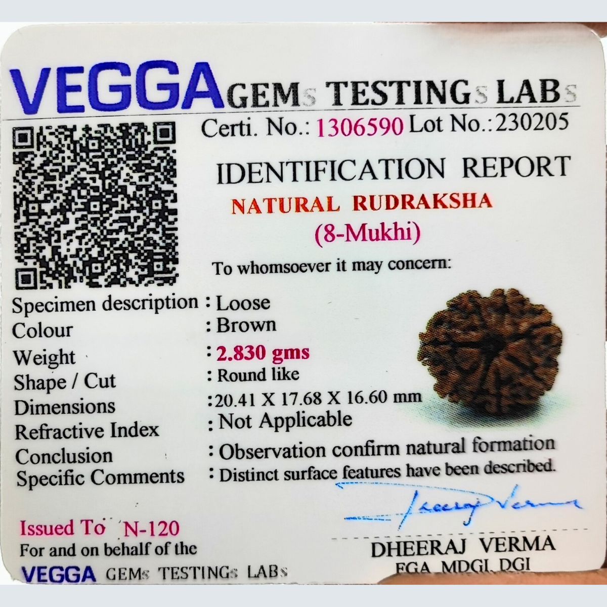 8 Mukhi Rudraksha Nepali Lab Certified - Image 5