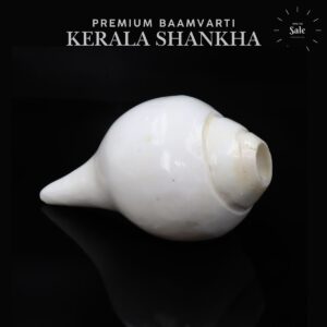 Bamvarti Shankha Kerala 11cm Length conch Orignal Small Size