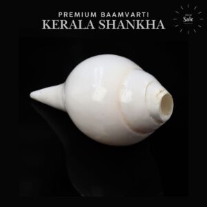 Bamvarti Shankha Kerala 13cm Length conch Orignal Small Size