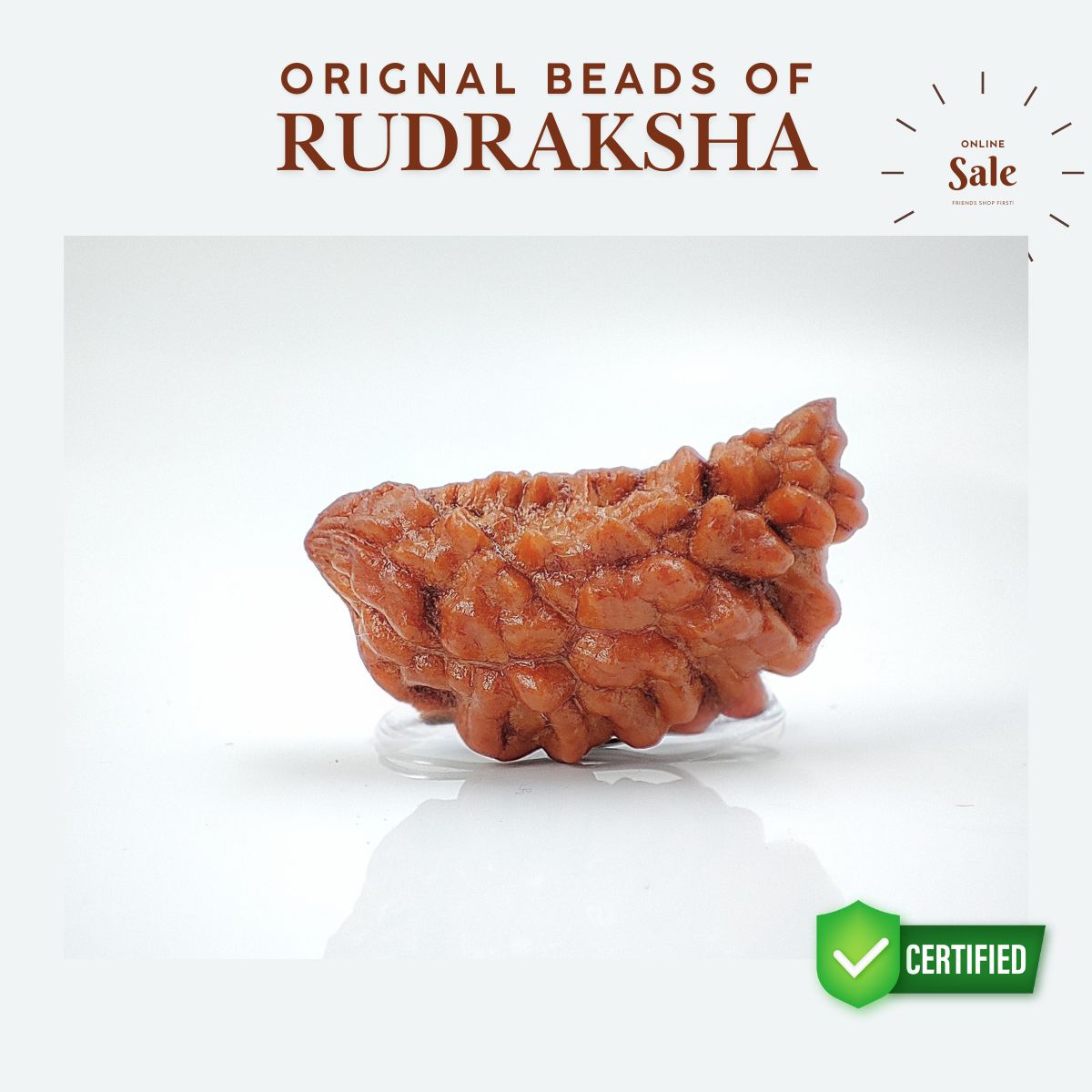 Ek mukhi rudraksha Orignal Indonasian Small size
