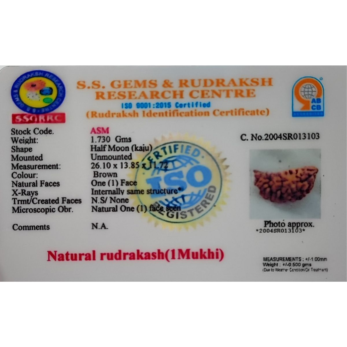 Ek mukhi rudraksha Orignal Indonasian Small size - Image 2
