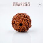 9 Mukhi Rudraksha Indonasian Lab Tested Orignal