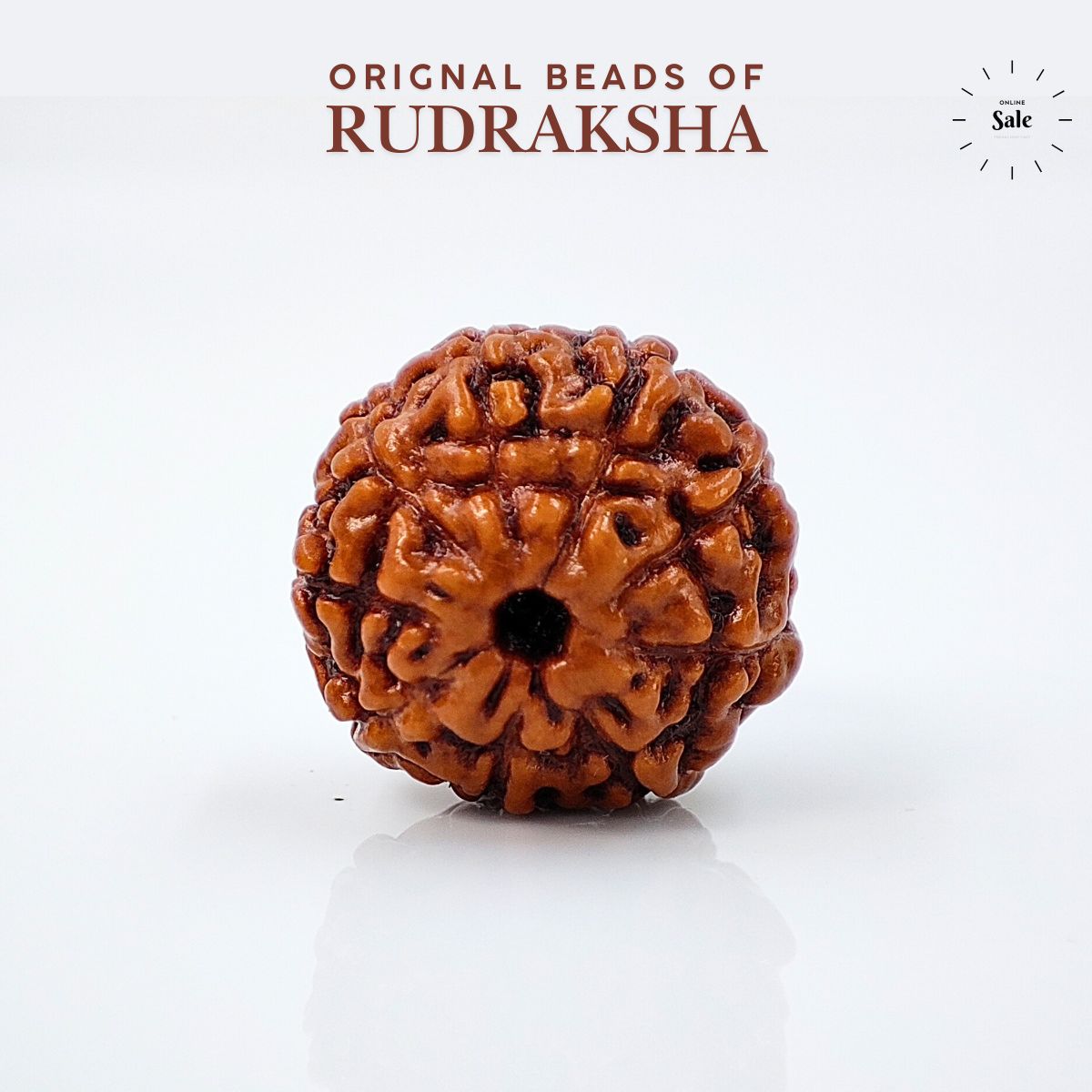 9 Mukhi Rudraksha Indonasian Lab Tested Orignal