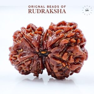 Ganesh Gauri Shankhar Rudraksha Rare Nepali Bead Orignal