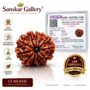 12 Mukhi Rudraksha Nepali Orignal Lab Tested