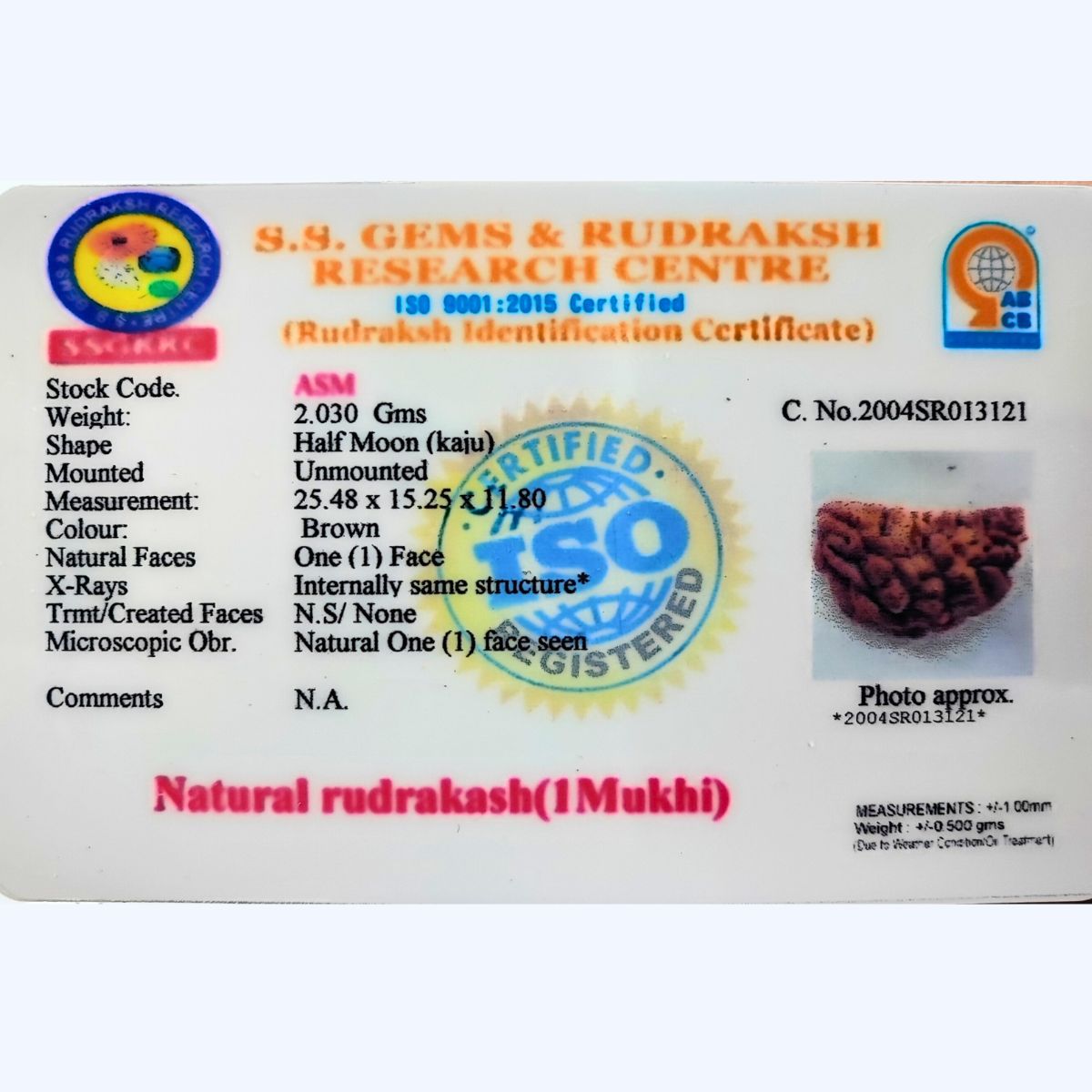 Ek mukhi rudraksha Orignal Indonasian Small size - Image 4