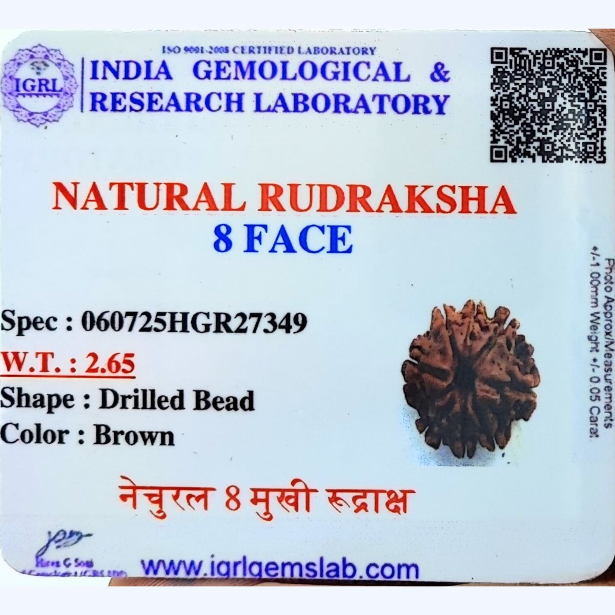 8 Mukhi Rudraksha Nepali Lab Certified - Image 4