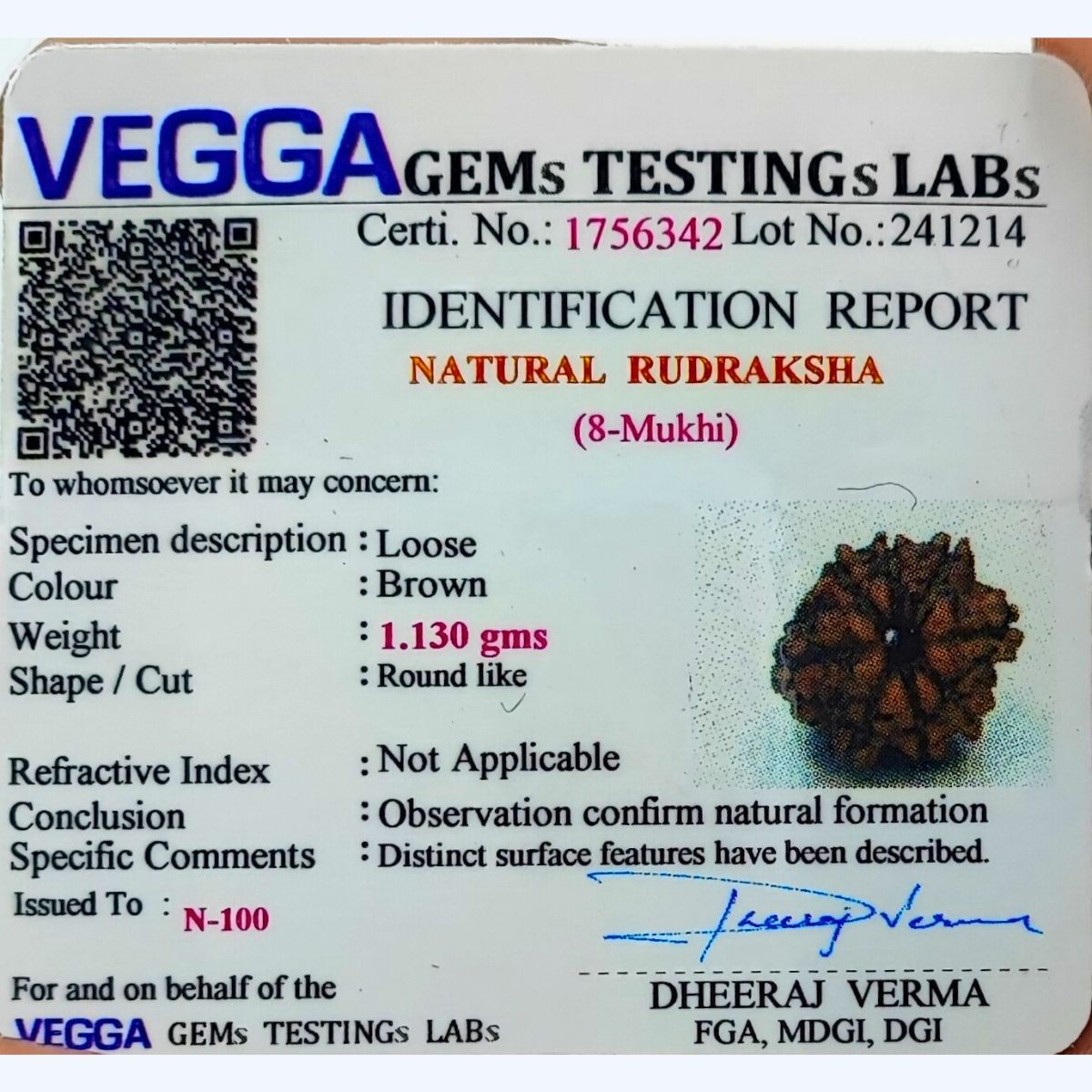 8 Mukhi Rudraksha Nepali Lab Certified - Image 2