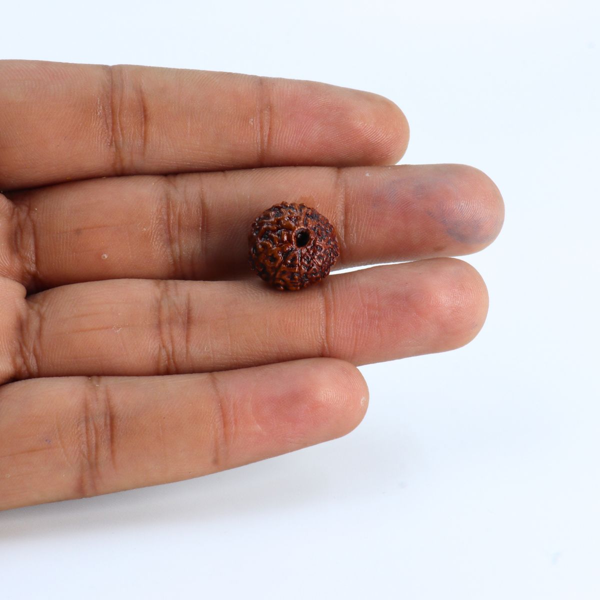 9 Mukhi Rudraksha Indonasian Lab Tested Orignal - Image 3