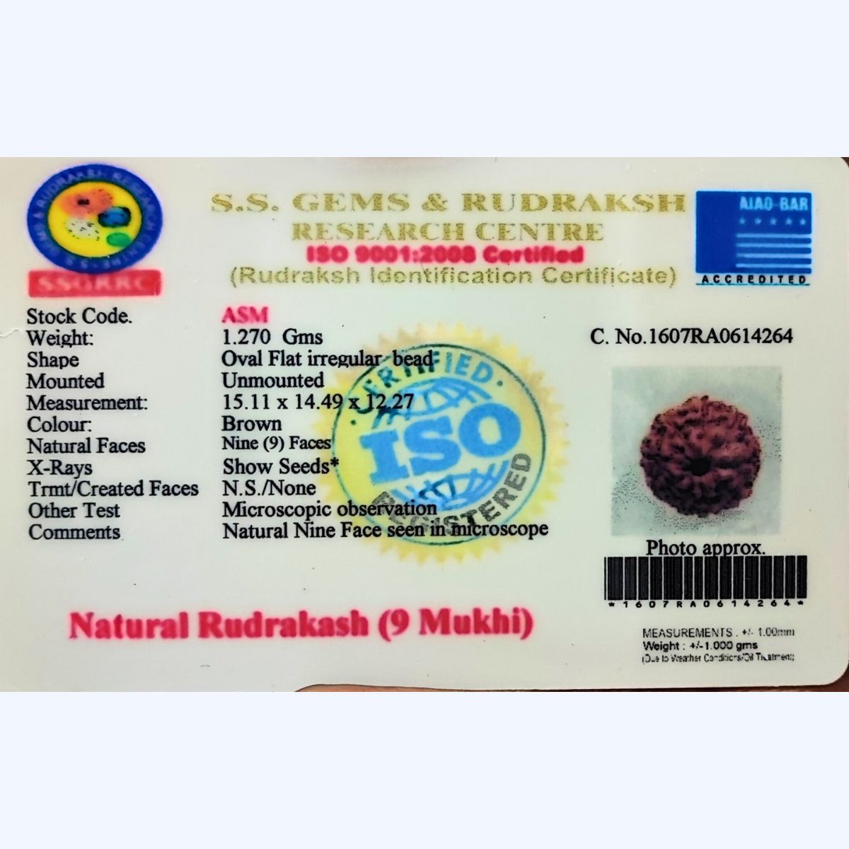 9 Mukhi Rudraksha Indonasian Lab Tested Orignal - Image 4