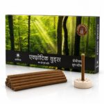 Exotic Woods Dry Dhoop Stick Low Smoke By Alaukik
