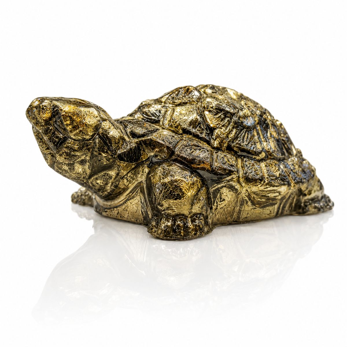Pyrite Tortoise Orignal For Growth in Career