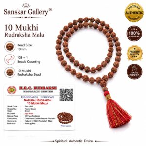 10 Mukhi rudraksha jaap maa Premium 108 Bead
