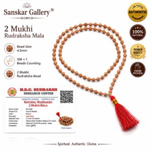 2 Mukhi Rudraksha Mala Premium Java Category 4.5 MM