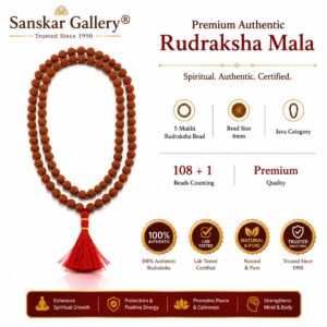 5 Mukhi Premium Java Category Jaap mala 6MM