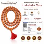 5 Mukhi Premium Java Category Jaap mala 10MM