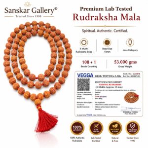 5 Mukhi Premium Java Category Jaap mala 10MM