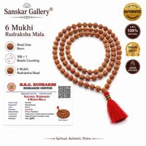 6 Mukhi Rudraksha mala Java Category