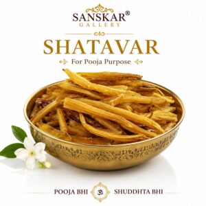 Shatavar Premium Quality for Pooja