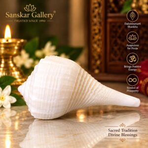 Dakshinavarti Shankha Premium Quality S Size 5 cm